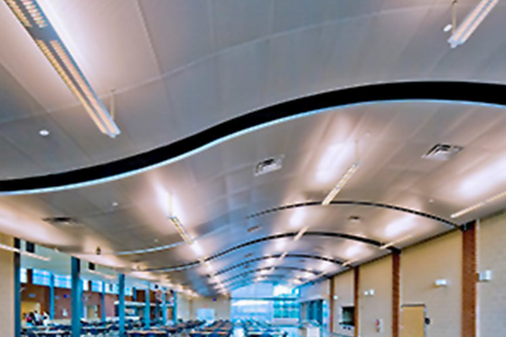 Κίνα Γενναιόδωρα όμορφα εμπορικά πλακάκια οροφής, ανοξείδωτα πλακάκια οροφής Standard Size 10 / 15MM προμηθευτής